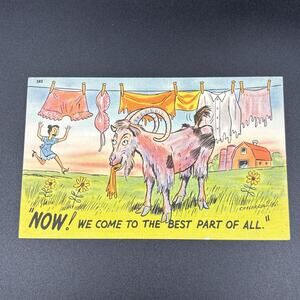 Vintage Postcard Goat Humor Comic Best Part of All Eating Laundry Unused